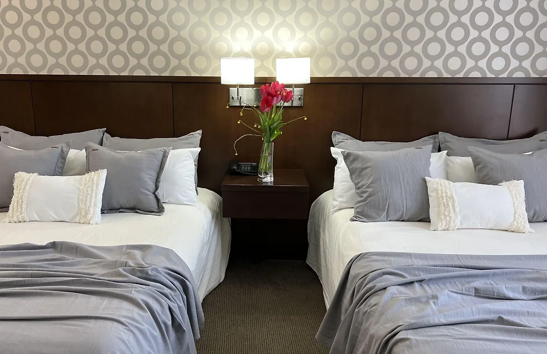 Ian Hotel-1